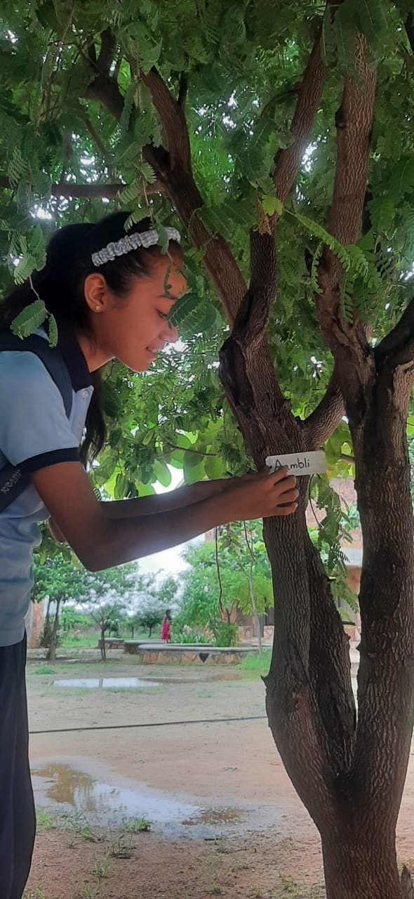 Friendship with trees