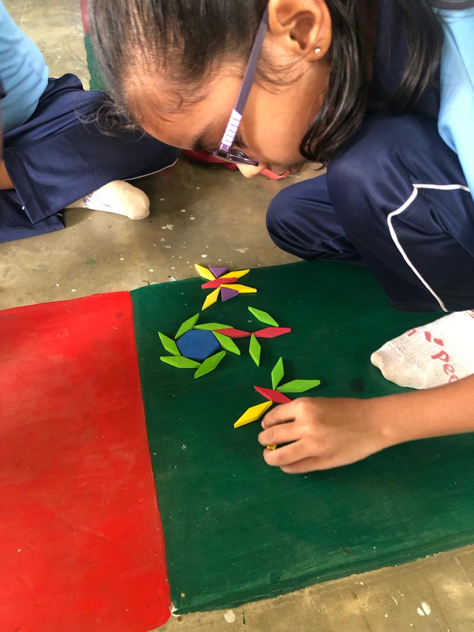 Butterfly park