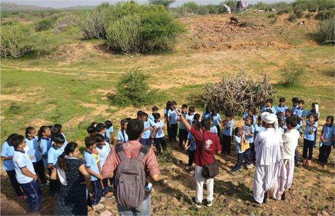 Interacting with the grazing community