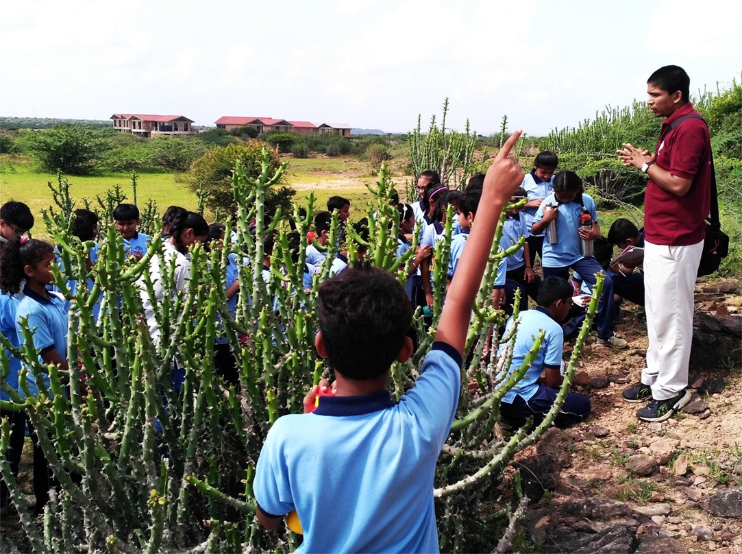 Learning through observations in nature
