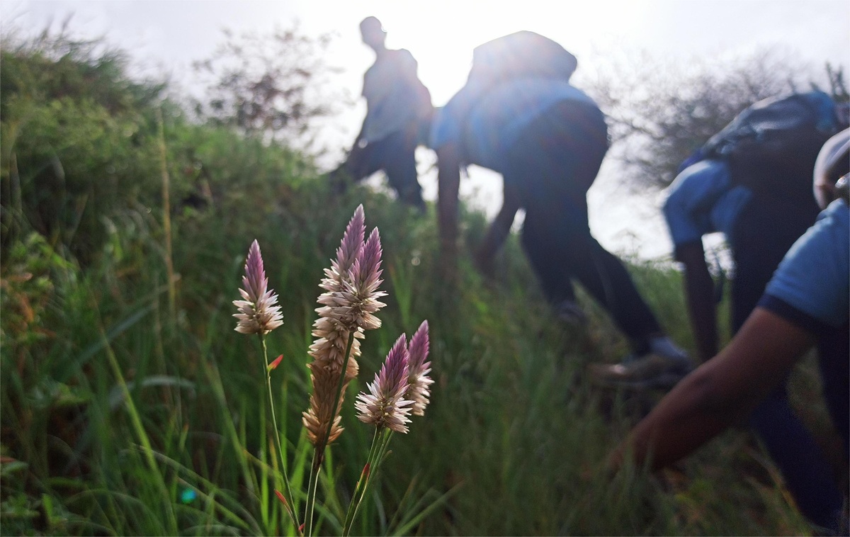 Our practice trek