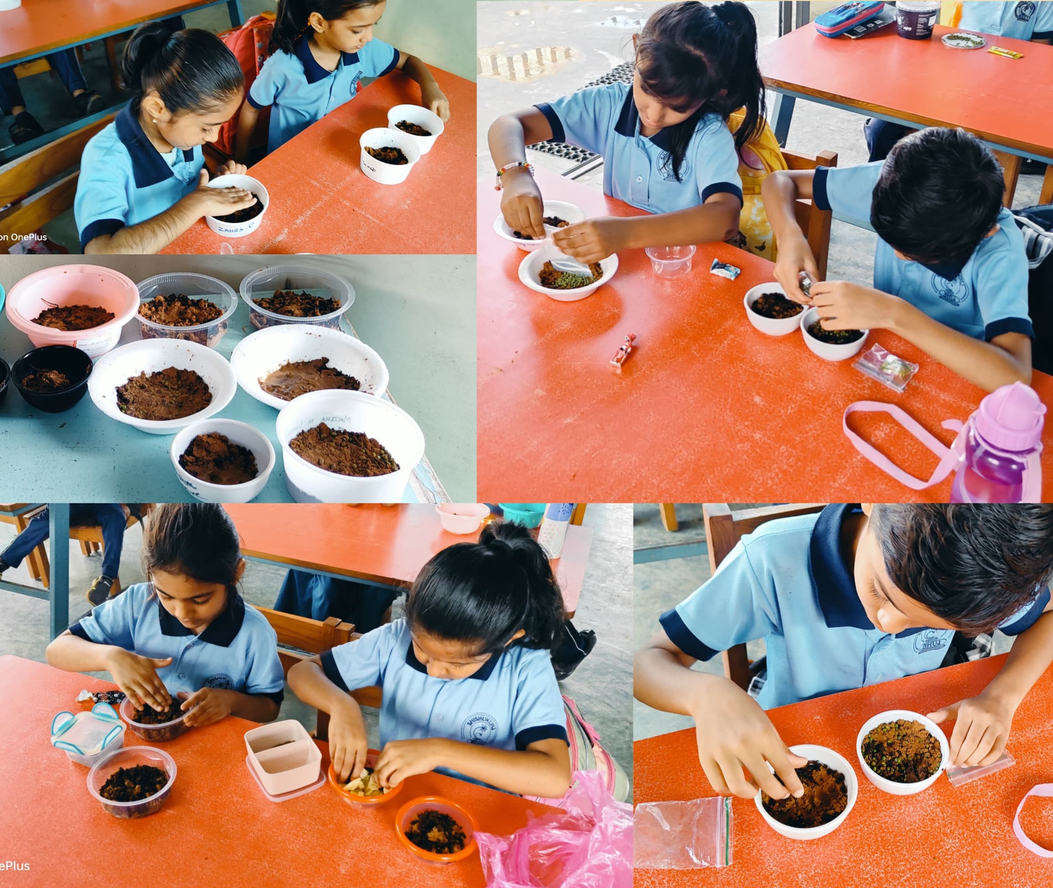 Let's learn about germination