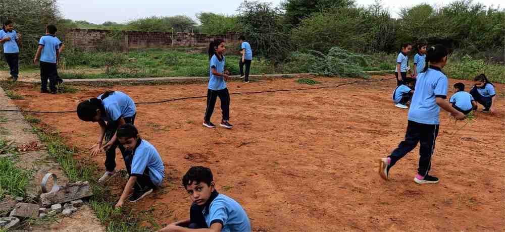Land preparation