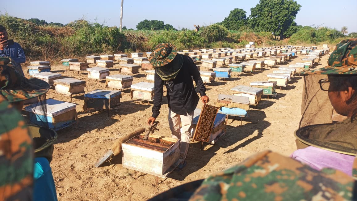 Bee keeping