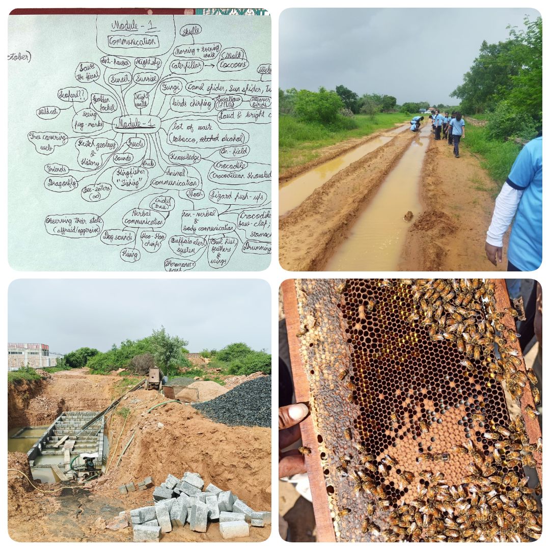 Dewatts, beekeeping, animal behaviour
