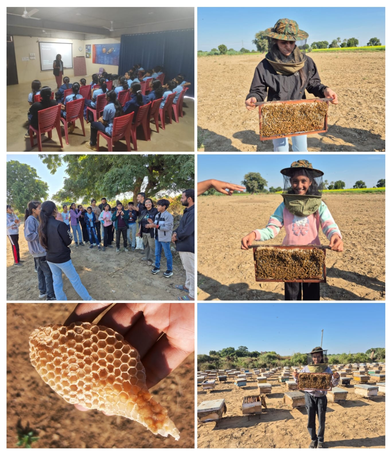 Module 2 on bees