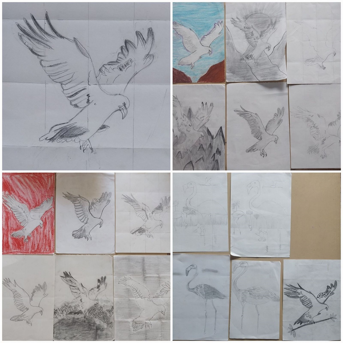 Flight of the eagle