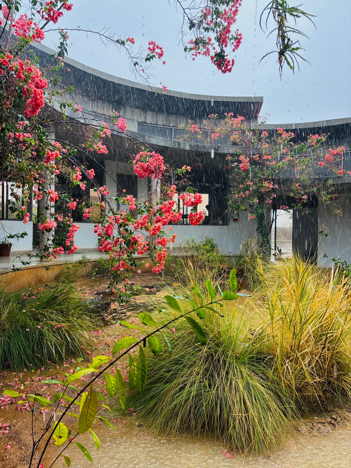 Admin centre court in the monsoon