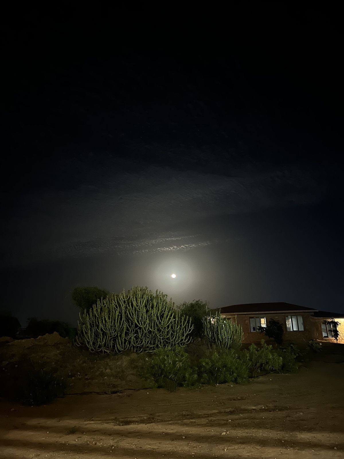 Campus in the moonlight