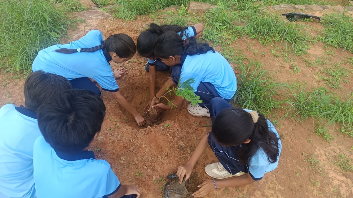 Tree planting on the campus
