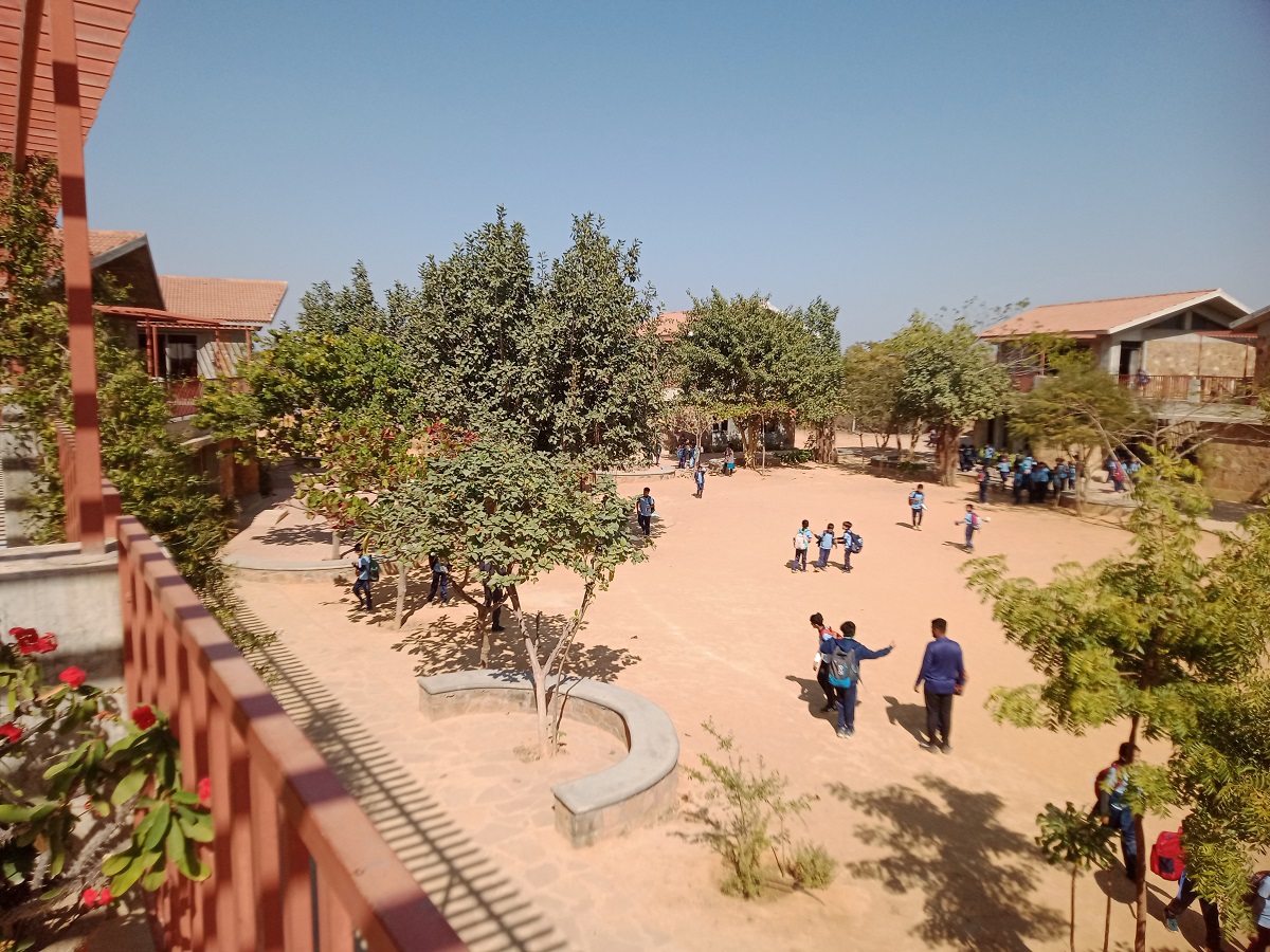 View from the library